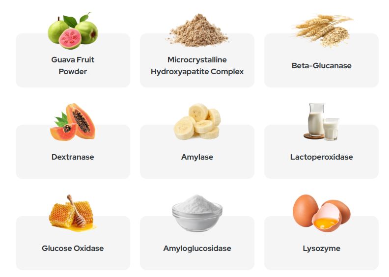 Synadentix ingredients — guava, hydroxyapatite, enzymes, lactoperoxidase and more